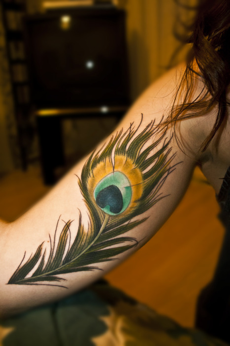 peacock feather tattoo designs